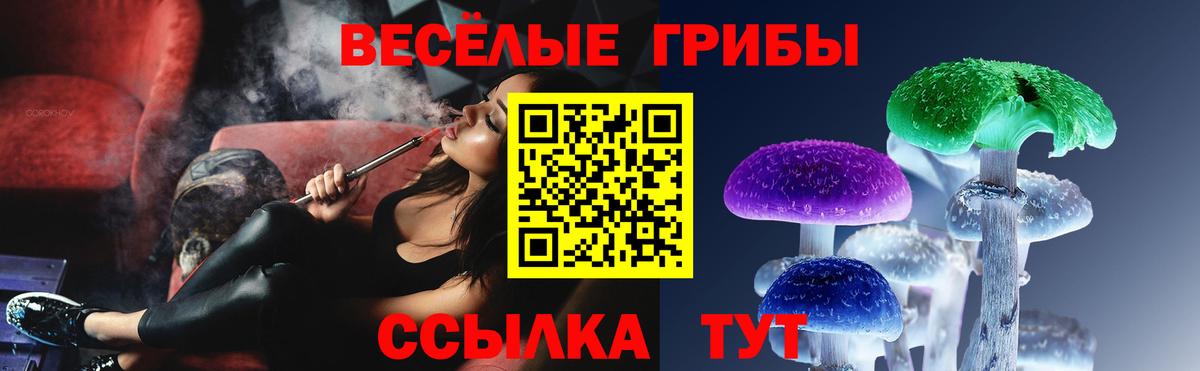 Лениногорск  Псилоцибиновые грибы прущие грибы  наркошоп  Вход с VPN 